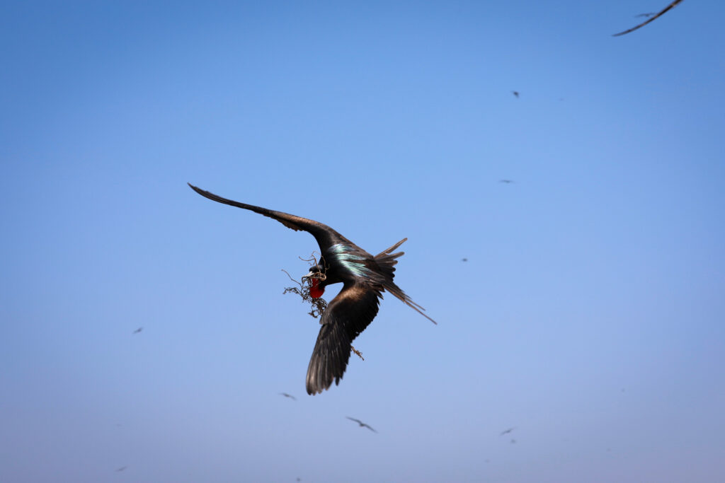 Galapagos - Ecuador