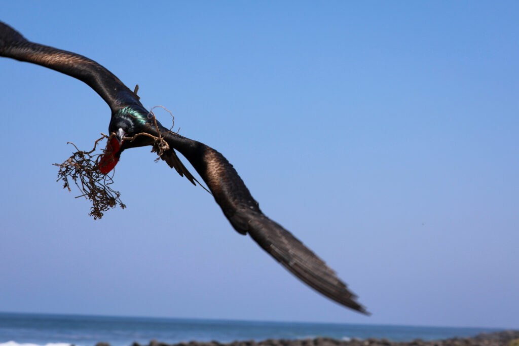 Galapagos - Ecuador