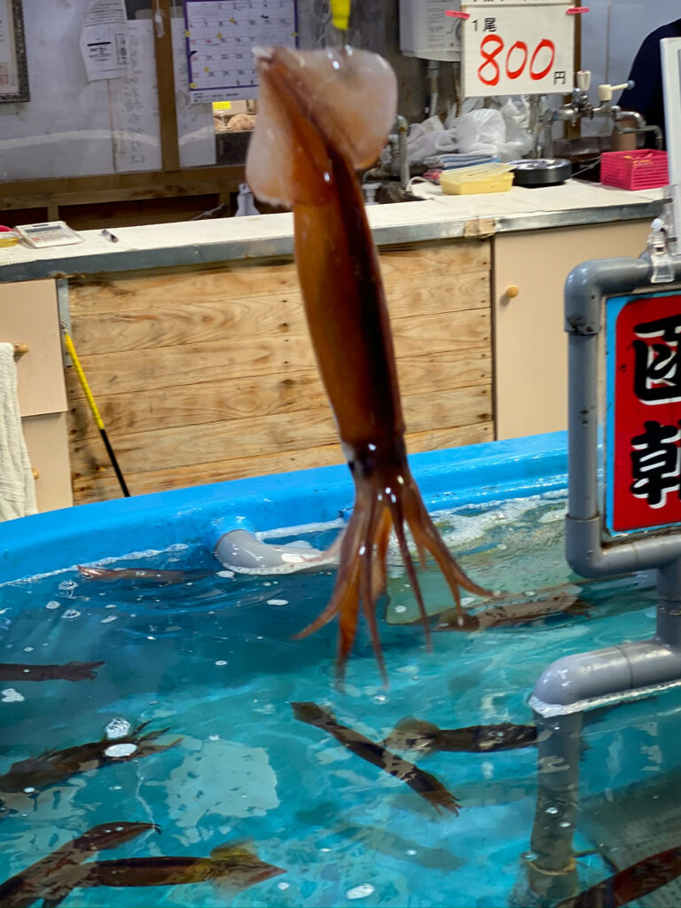 Squid Fishing - Japan Market