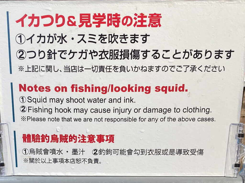 Squid Fishing - Japan
