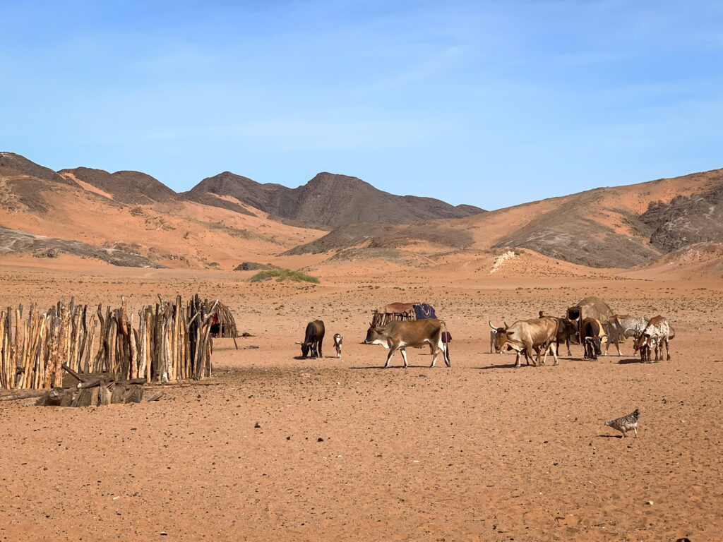 Kunene / Koakoland - Namibia