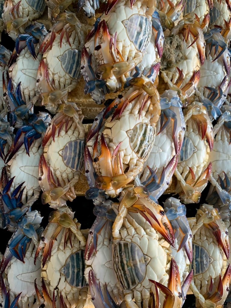 Sea Food Market, Bali, Indonesia