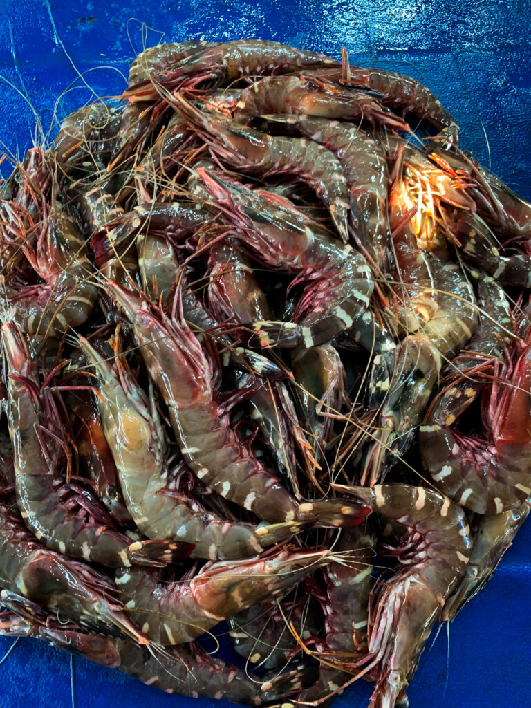 Sea Food Market, Bali, Indonesia