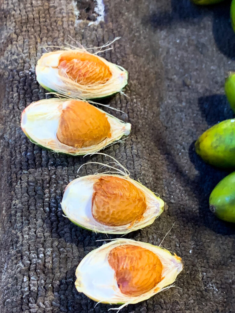Sea Food Market, Bali, Indonesia