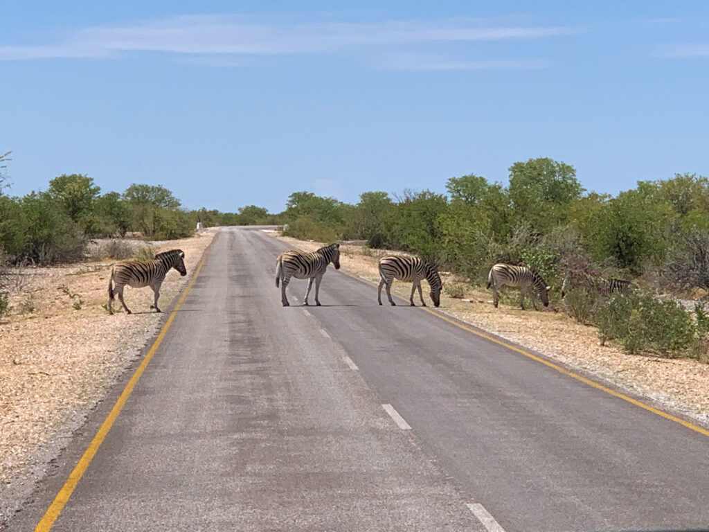 Etosha National Park - Namibia