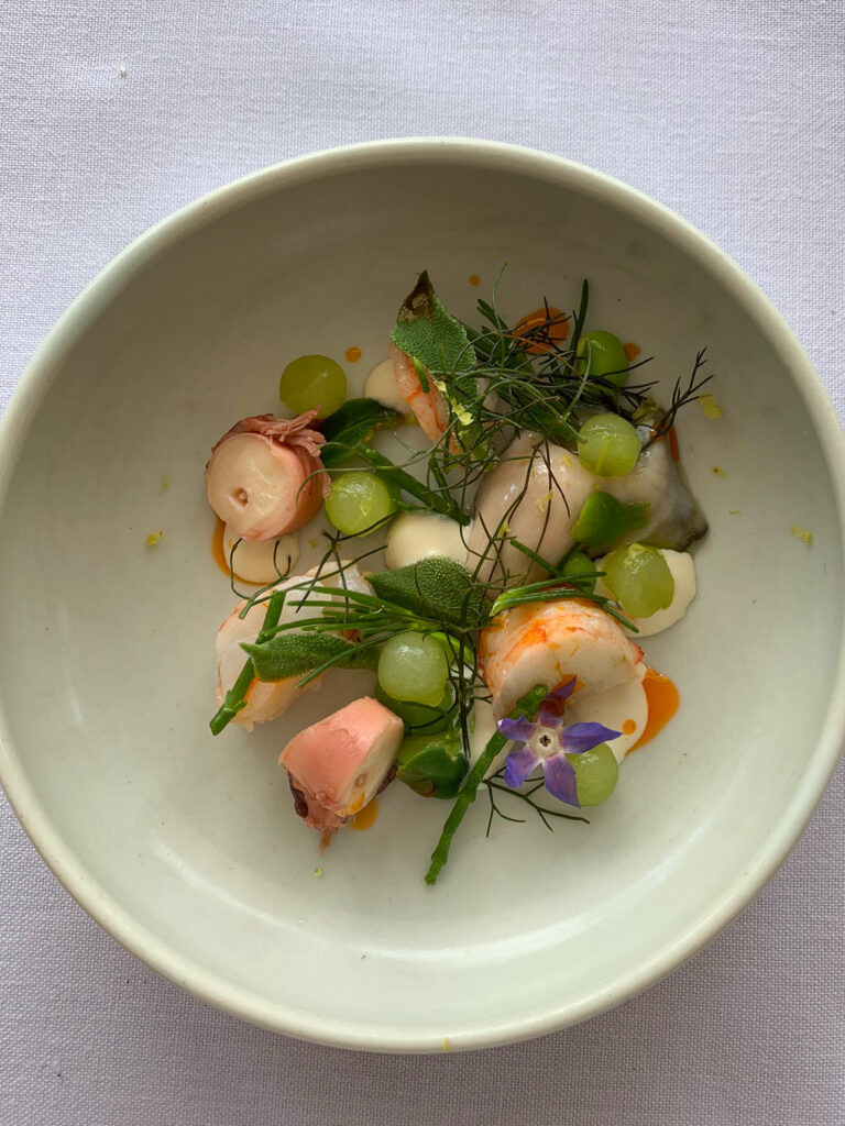 Salsify at the Roundhouse, Cape Town, South Africa