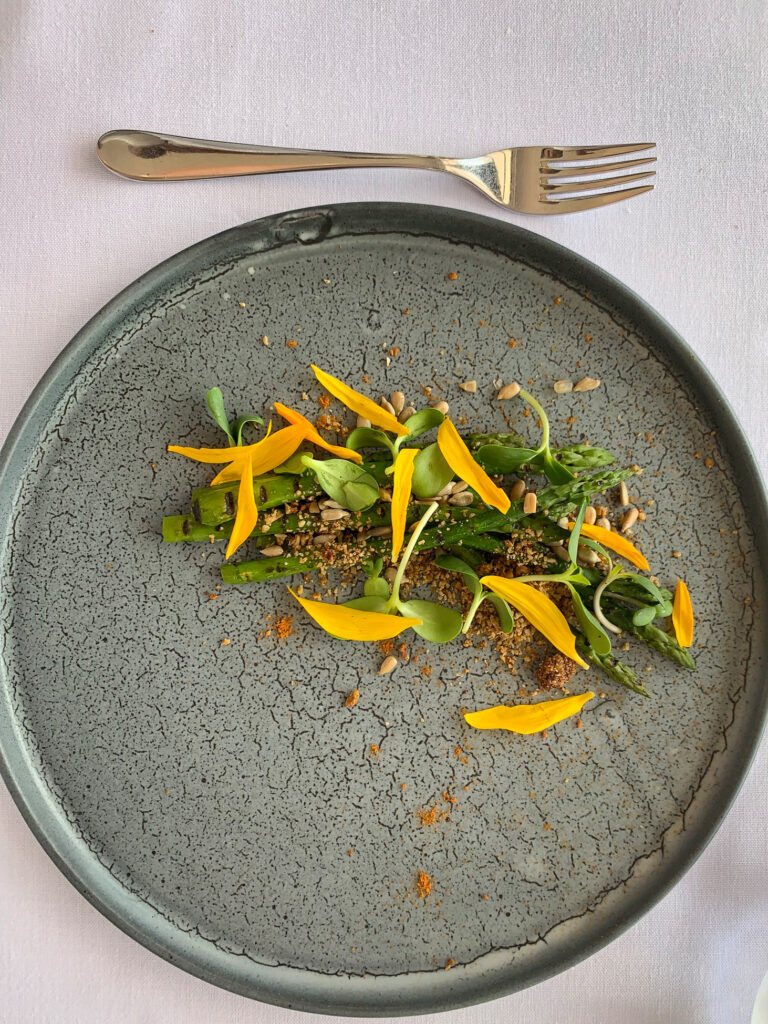 Salsify at the Roundhouse, Cape Town, South Africa