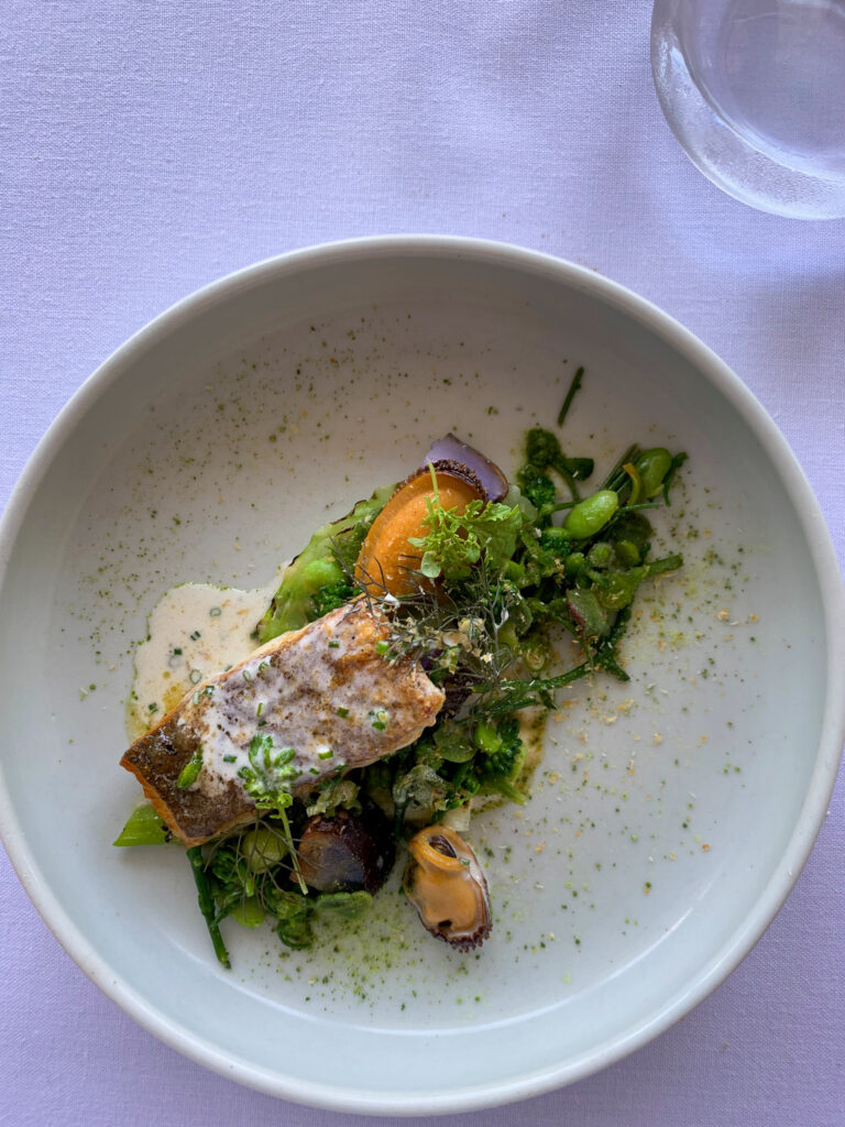 Salsify at the Roundhouse, Cape Town, South Africa