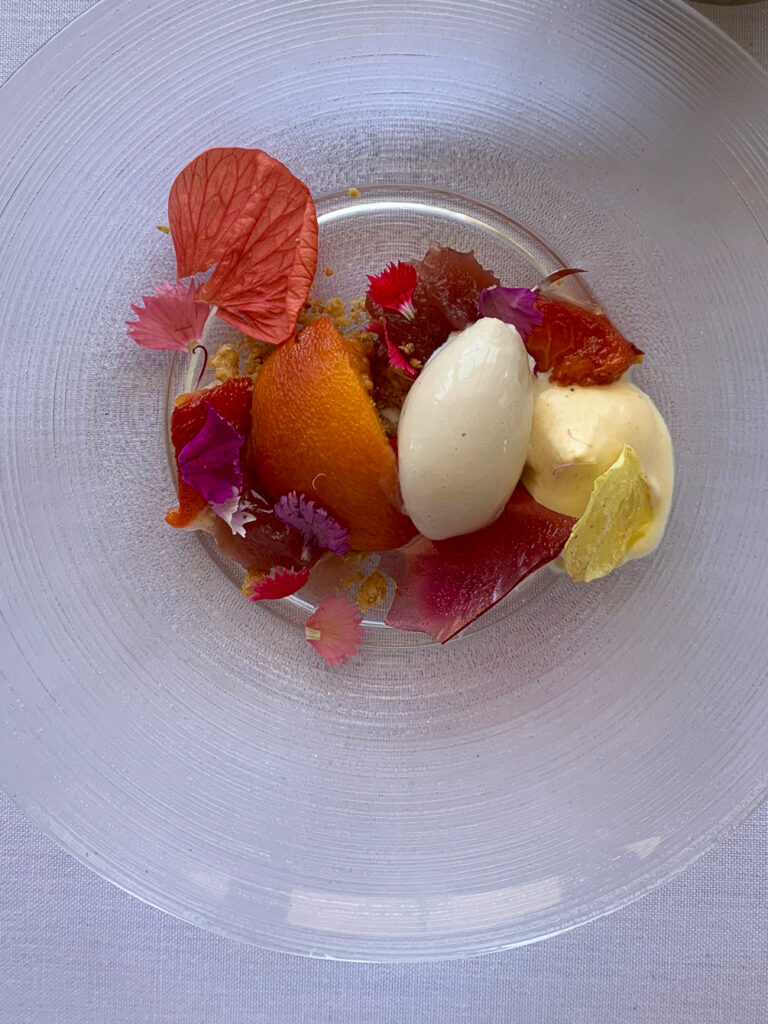 Salsify at the Roundhouse, Cape Town, South Africa